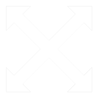 Erstinspektion Icon